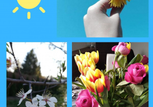 Fotografia, na niej symbol Słońca i wiosenne kwiatki